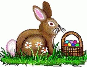 bunny.jpg