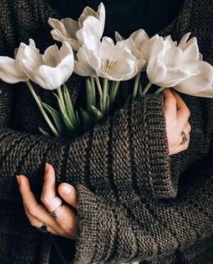 tumblr_3789984f3a938c147d130923cbeca7c5_e3c46f96_1280.jpg