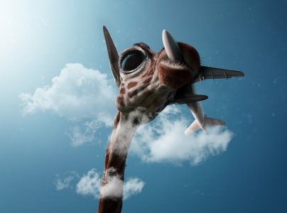 airplaneandgiraffe.jpg