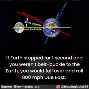 338502981_997545711230225_7841851706145399161_n.jpg