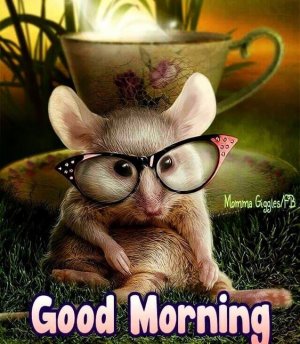 2669c7870ab67ec074b3cd9cb6beaa79[1].jpg