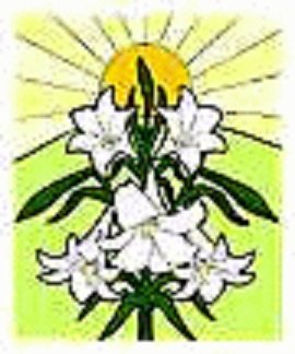 LILLIES.jpg
