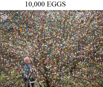 10000 eggs.jpg