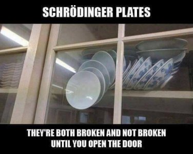 Plates.1.jpeg
