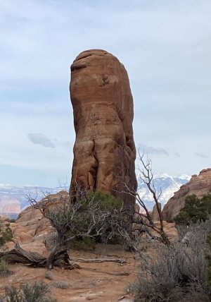 60537D1D-9C25-4CD8-9451-09E666B051F2.jpeg