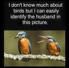images.jpg