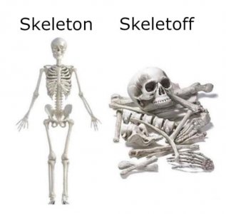 339965618_630837378887290_1207563448554586998_n.jpg