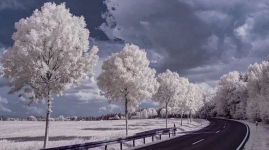 infrared 01.JPG