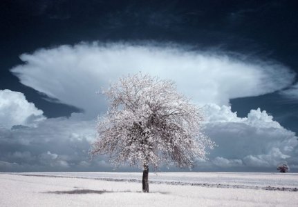 infrared 03.JPG