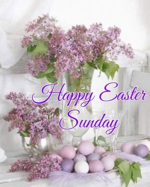 FB_IMG_1681038874652.jpg