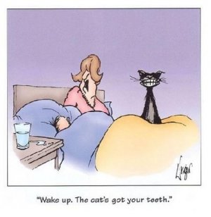 catsgotyourteeth.jpg
