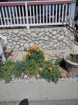 IMG_20230404_110643541_HDR.jpg