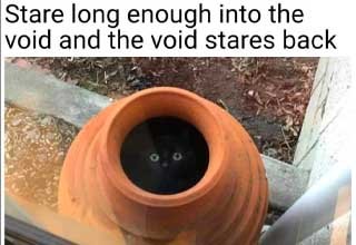 into the void.jpg