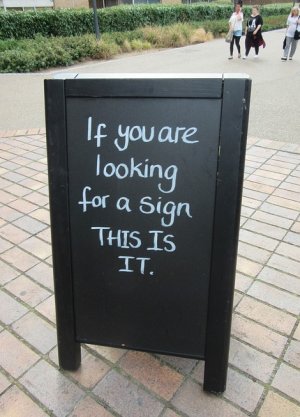 lookingforsign.jpg