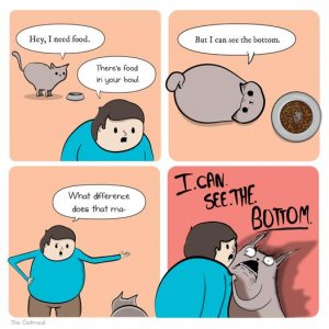 KITTY.jpg