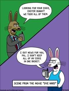 FB_IMG_1681157017315.jpg