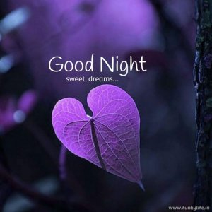 funkylife-good-night-image-56.jpg