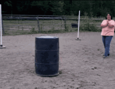 funny-people-silly.gif