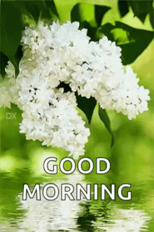 good-morning-flowers.gif