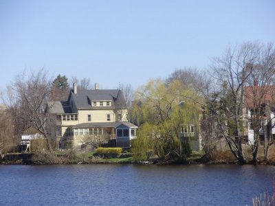 spring on the pond.jpg