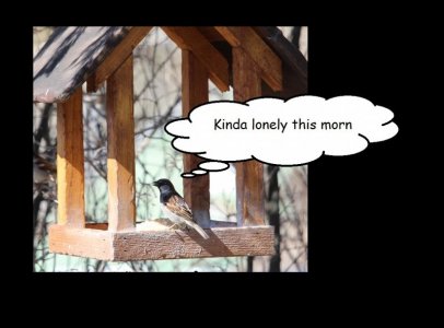 alone.jpg