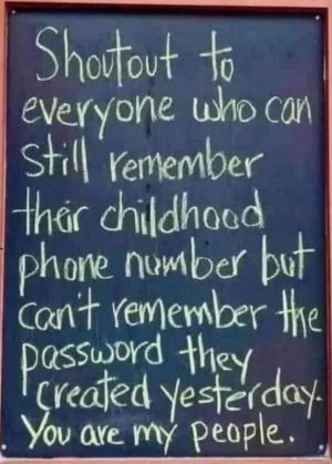 FB_IMG_1681396515903.jpg