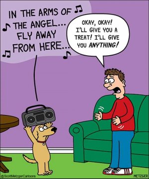 FB_IMG_1681331008133.jpg
