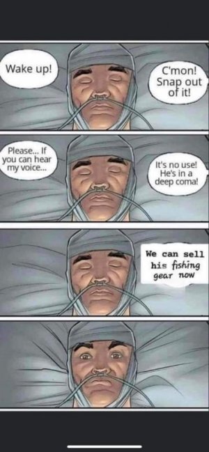 FB_IMG_1681445198749.jpg