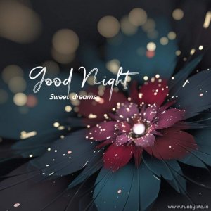 funkylife-good-night-image-92.jpg