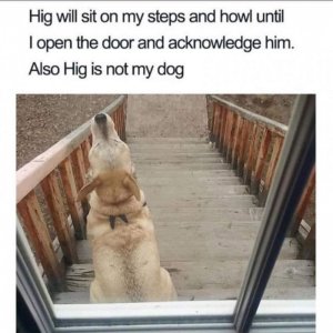 IMG_2273.jpeg