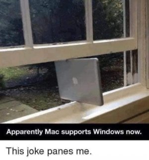 IMG_2278.jpeg