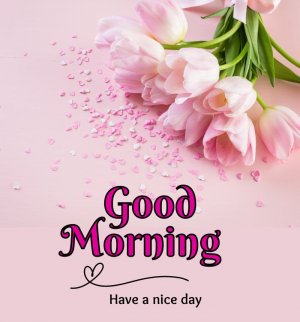 good-morning-images.jpg