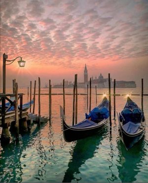 IMG_2290.jpeg