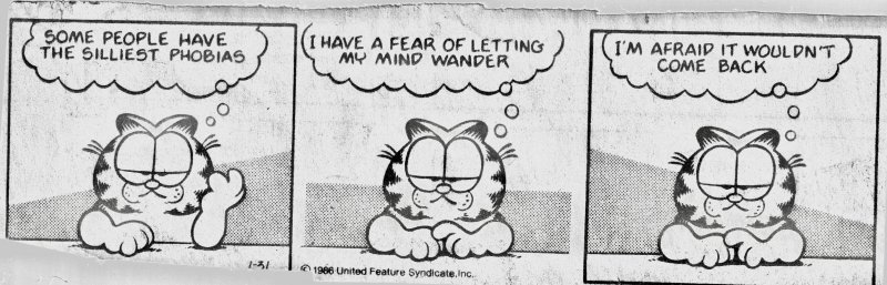 Mind wantering.jpeg