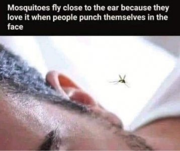IMG_2317.jpeg