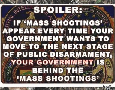 disarm meme.jpg