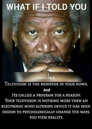 morgan tv meme.jpg