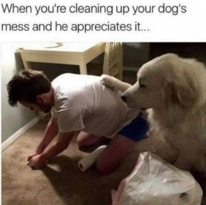 FB_IMG_1681430227823.jpg