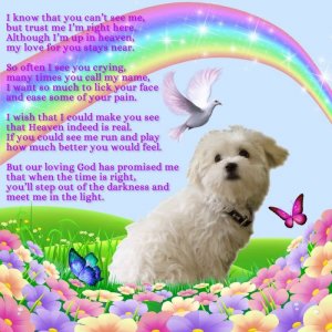 252B0F9F-4B36-4355-9A96-DE56FAEC50AA.jpeg