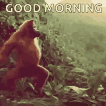 01.gif