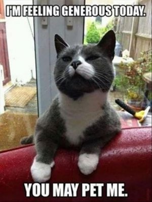 e7ff7c151865babe5cb71d6490ae0718--funny-animal-memes-animal-quotes.jpg