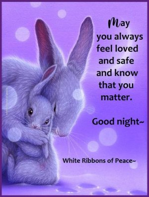 good night rabbit.jpg