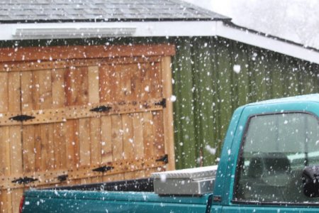 big flakes.jpg