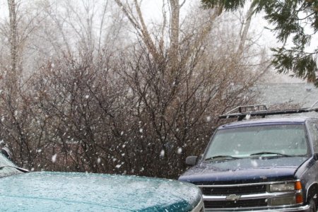 big snow 2.jpg