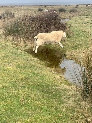 IMG_6983.jpeg