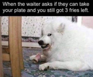 FB_IMG_1681876831549.jpg