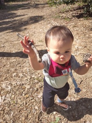 Rocks & Sticks.jpg