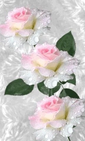 29a5db72c08d68e4fab9db179261f174.jpg