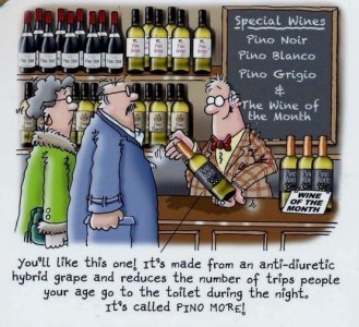winechoice.jpg