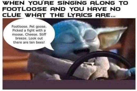 IMG_2283.jpeg
